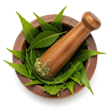 Fresh neem leaves in a wooden mortar and pestle with green herbal powder isolated on white background