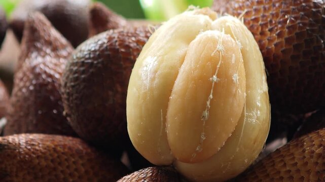 Closeup peeled  a salak fruit