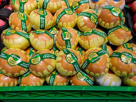 Malang, Indonesia - September 01, 2026: A pile of Sunpride Singo Asian pears, individually wrapped in plastic and yellow protective nets, in a market display.