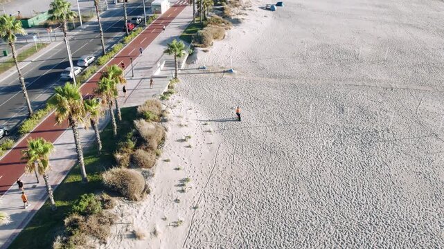 Aerial view of beach promenade with palm trees and bike lane