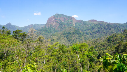 Obraz premium Scenic panoramic view of Puncak 29 Mount Muria with dense tropical forest, green hills, and a clear blue sky in Central Java, Indonesia. Ideal background for outdoor, travel, and nature projects.