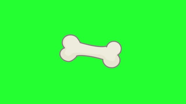 Animated video of a dog bone in cartoon style on a green background, art, 2D.