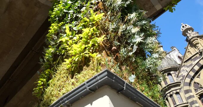 Vertical garden on the columns of a railway bridge  in Medellin, Colombia. Such gardens improve air quality by trapping dust, removing C02, releasing oxygen and provide a wildlife habitat