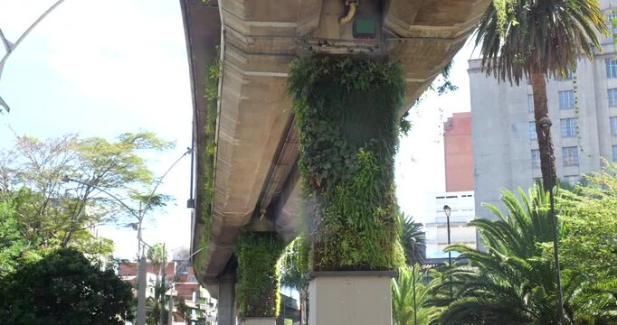 Vertical garden on the columns of a railway bridge  in Medellin, Colombia. Such gardens improve air quality by trapping dust, removing C02, releasing oxygen and provide a wildlife habitat