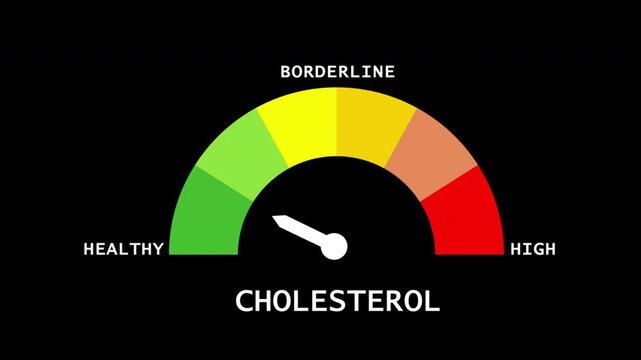 Cholesterol level meter showing healthy, borderline, and high-risk zones on transparent background