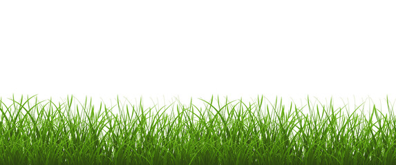 Obraz premium Green Grass Border And Isolated White Background