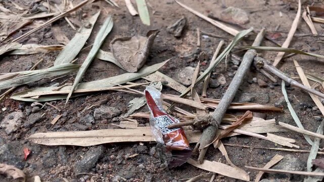 Plastic Food Wrapper Trash Littered on Dirt Ground with Dry Leaves