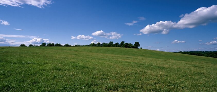 The Open Field Under a Clear Blue Sky and Gentle Rolling Hills