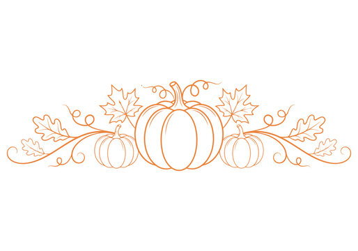 Elegant hand drawn pumpkin border illustration featuring decorative autumn vines and leaves perfect for seasonal thanksgiving harvest invitations and festive fall themed graphic design projects