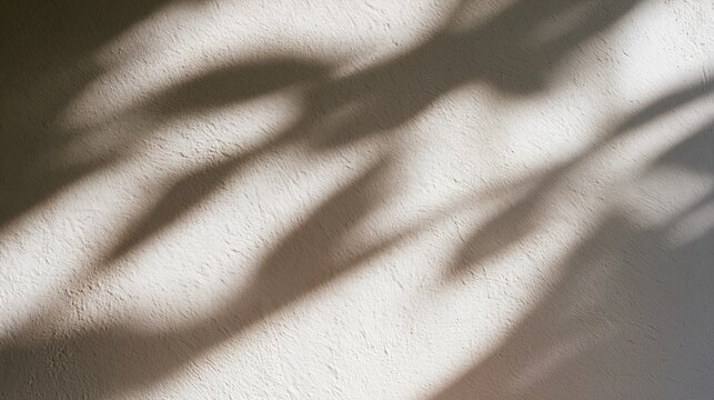 The Shadow of Leaves on Textured Wall Creating Abstract Light
