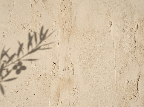 Shadow of olive branch on warm beige stucco wall background