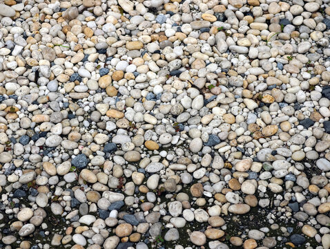 pebbles on the beach