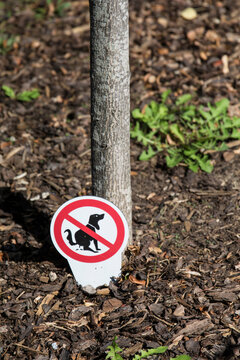 Kein Hundeklo - Zeichen