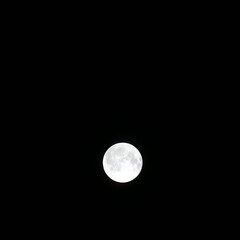 8月の夜空　美しい満月が光る05 © スタジオ　スパロウ