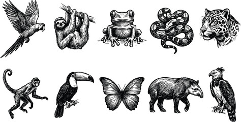 Fototapeta premium Tropical Jungle Animals and Rainforest Wildlife Woodcut Style Icon Set with Sloth Jaguar Toucan Parrot and Monkey Symbols for Nature Designs