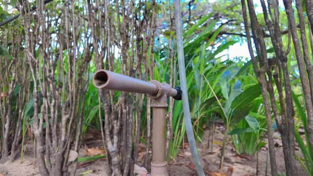 A close-up of a part of a drip irrigation system in a garden, showing a pipe and a dripper among plants