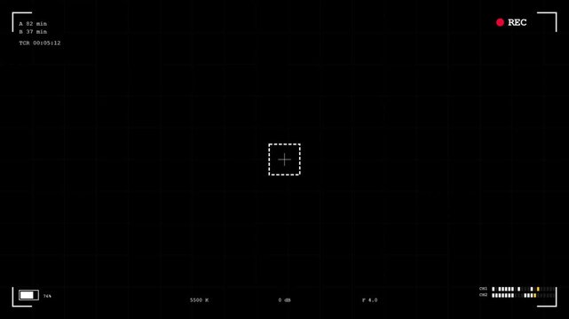 Professional Digital Camera Recording Interface with Viewfinder HUD Overlay