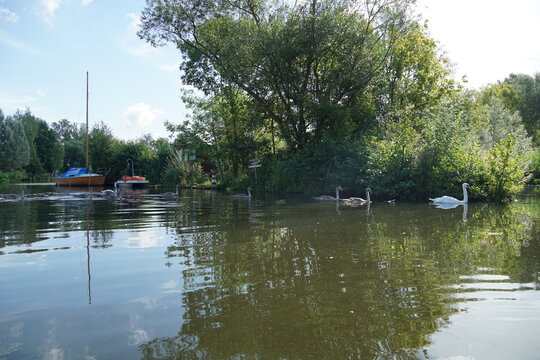 Kajaktour in Berlin auf der Havel und durch Kleinvenedig