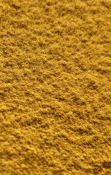 Top view macro close-up of Coenzyme Q10 powder texture background. Bright yellow organic supplement or turmeric spice powder surface.
