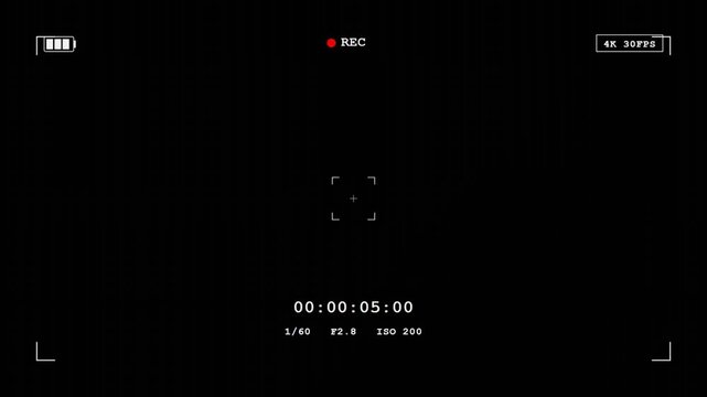 Professional Camera Viewfinder Interface Overlay with Digital Recording Indicators
