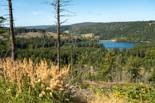 Trinkwasser-Talsperre Scheibe-Alsbach Panoramablick im Sommer