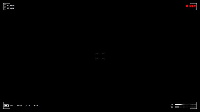 Digital Camera Recording Interface Overlay with REC Indicator