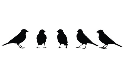 Fototapeta premium Sparrows silhouettes presented in a row against a plain white background offer a clean design element for natural graphic projects.