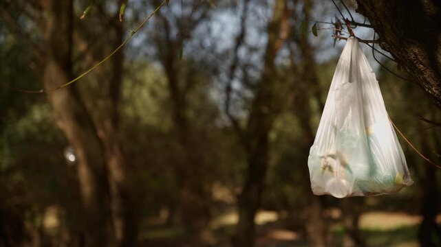 Plastic bag discarded on a forest tree branch. Concept of plastic pollution in nature, environmental degradation, forest littering awareness, and ecosystem protection. 4K.