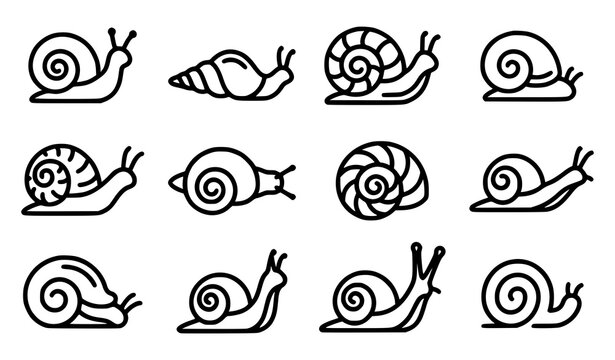 Snail shell and body outline icons with spiral shells antennae and gastropod vector line designs
