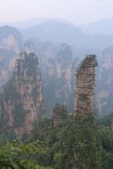 Fototapeta premium Foggy view of quartz-sandstone pillars with resilient, ancient trees at Huangshizhai (Yellow Stone Village) in Zhangjiajie National Forest Park, Hunan Province of China