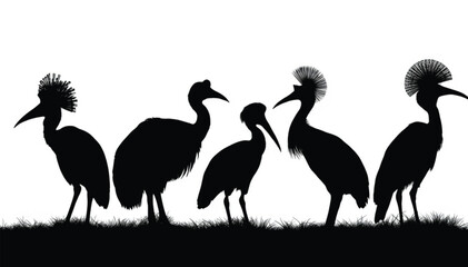 Fototapeta premium Crested crane silhouettes stand in a horizontal row along a grassy meadow ridge against an empty isolated white backdrop in minimalist style.
