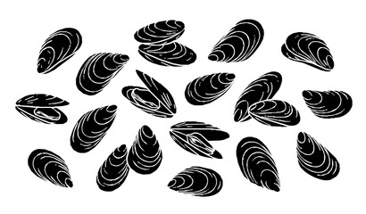 Scattered Fresh Mussels Shellfish Collection Black White Vector © Bipul
