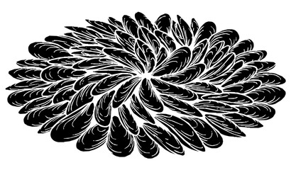 Overhead Fresh Mussel Shellfish Pile Black White Vector Illustration © Bipul