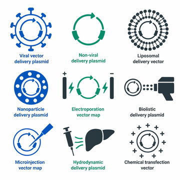 Gene delivery methods and plasmid vector icons set