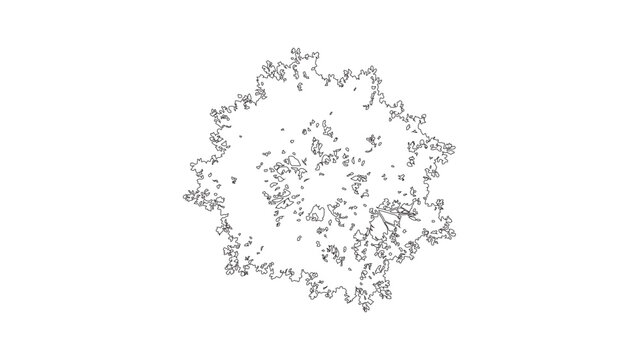 Vector tree top view isolated on white background for landscape plan and architecture layout drawing.