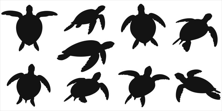 A collection of eight black silhouettes of sea turtles swimming in different directions on a white d