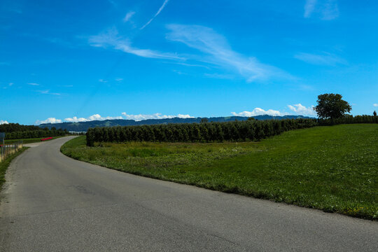 Scenic Cycle Path Through Apple Orchards Near Lindau