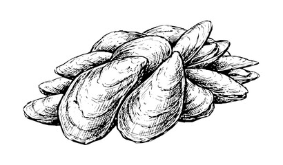 Hand Drawn Fresh Mussel Pile Black Ink Shellfish Illustration © Bipul