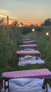 Golden Hour Picnic Setup: An idyllic outdoor picnic setting awaits under the warm embrace of a setting sun, with gingham-covered benches arranged amidst a wildflower field.