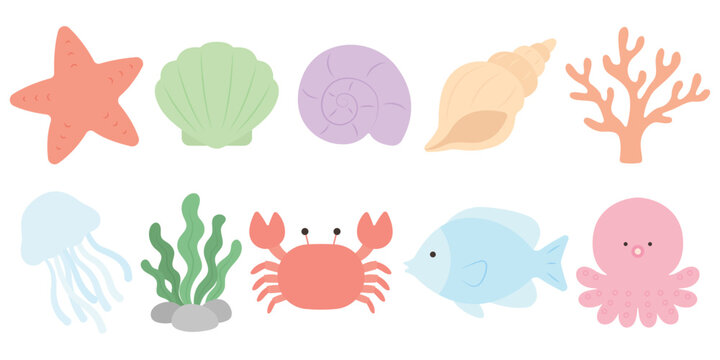 sea life collection with marine animals and plants, marine organism, marine life, seashell, clam, starfish, conch, scallop, octopus, coral, seaweed, jellyfish, crab, tropical fish, fish