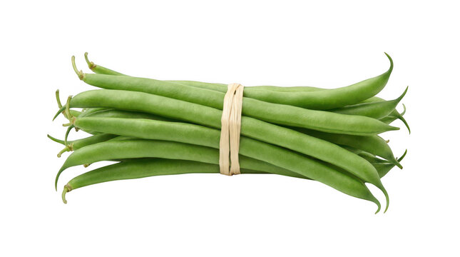 A bundle of fresh green beans tied with a raffia string isolated on transparent background
