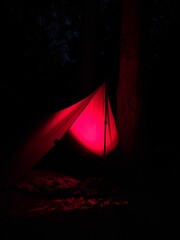 Camping tarp shelter glowing with red light in dark night forest © Pavlo