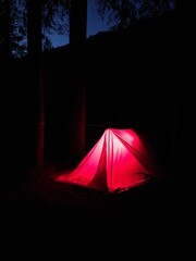 Red illuminated camping tarp shelter in dark night forest © Pavlo