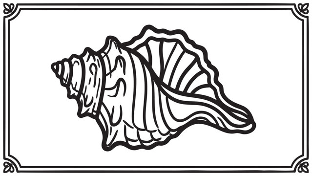 seashell illustration with decorative frame featuring marine, ocean