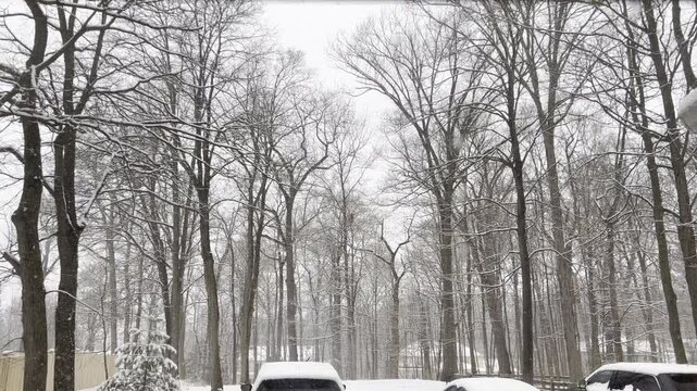 looking through window at snow falling on backyard and cars in February in New Jersey