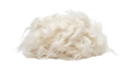 Soft fluffy white wool fleece pile for spinning and felting © Pimpun