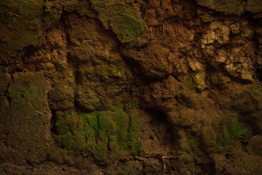 Mossy Underground Rock Texture Background