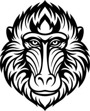 Monkey head vector illustration