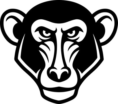 Monkey head vector illustration