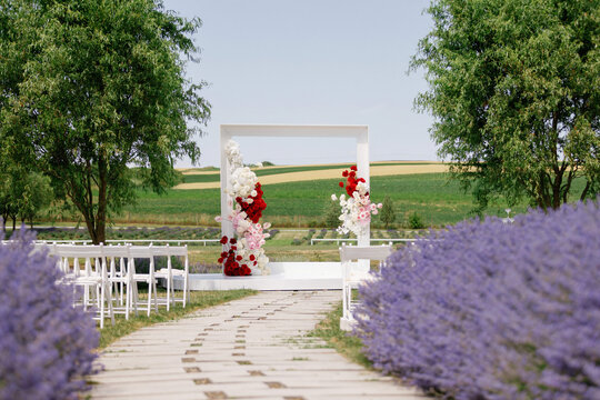 Purple flowers and chairs between path and stage with roses outdoors